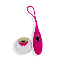 Trivia Ã¢â‚¬â€œ Erotic Silicone Bullet Egg Vibrator With A Remote Control